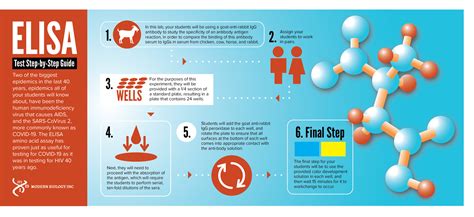 elisa test step by